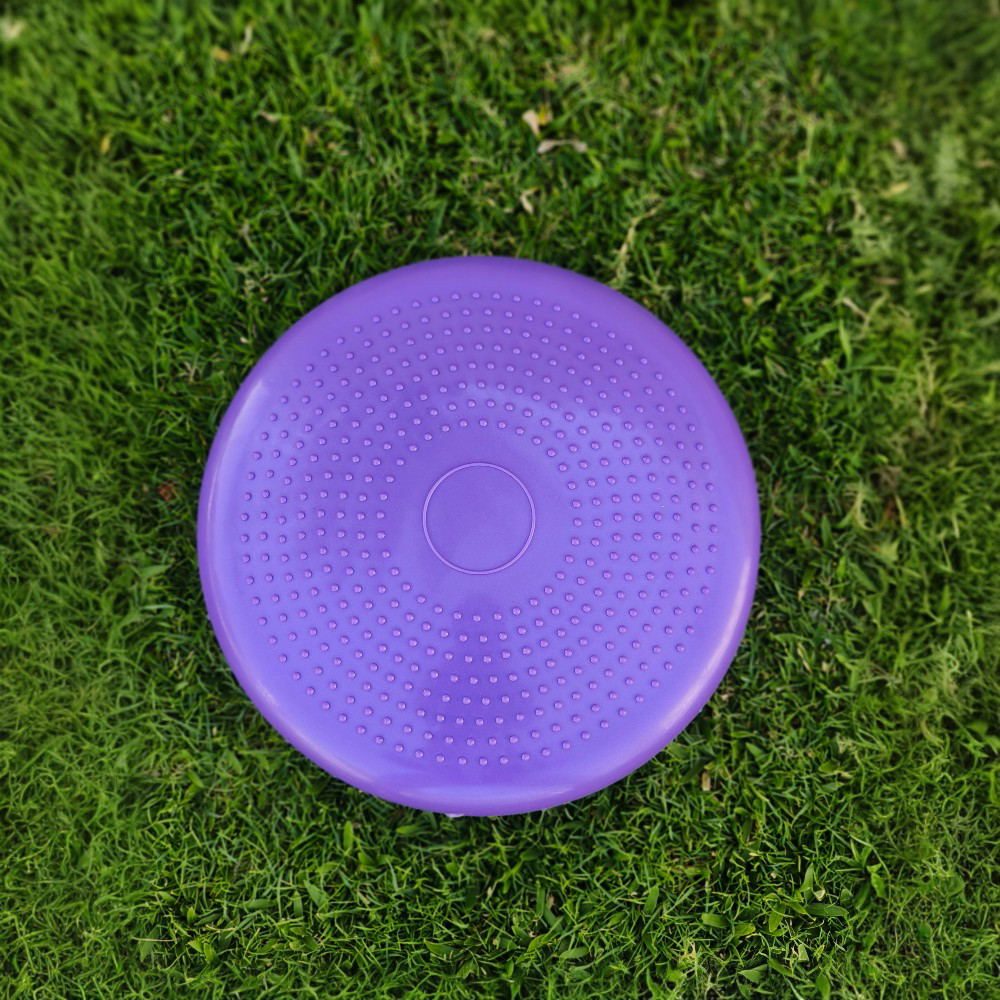 Balance Cushion Disc