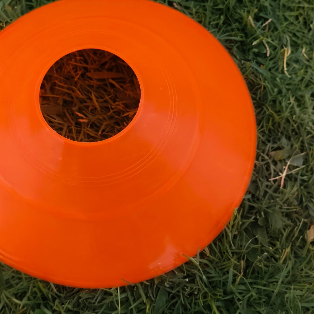 Training Marker Disc