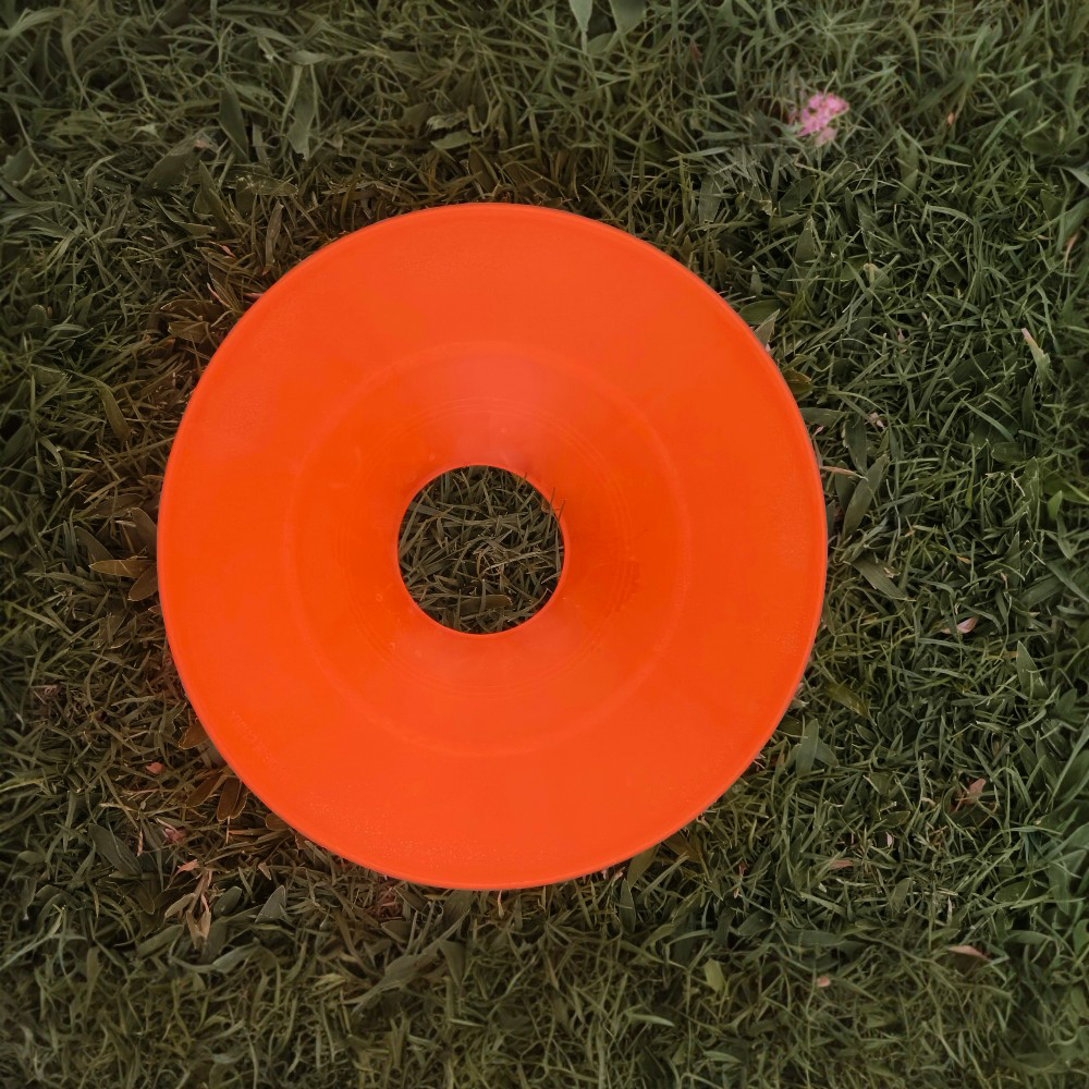 Training Marker Disc