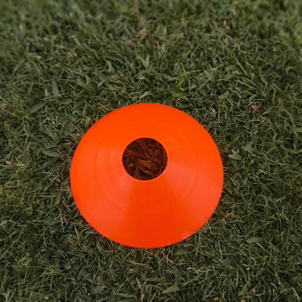 Training Marker Disc