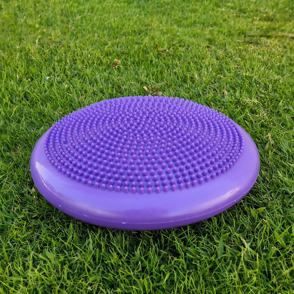 Balance Disc Pad