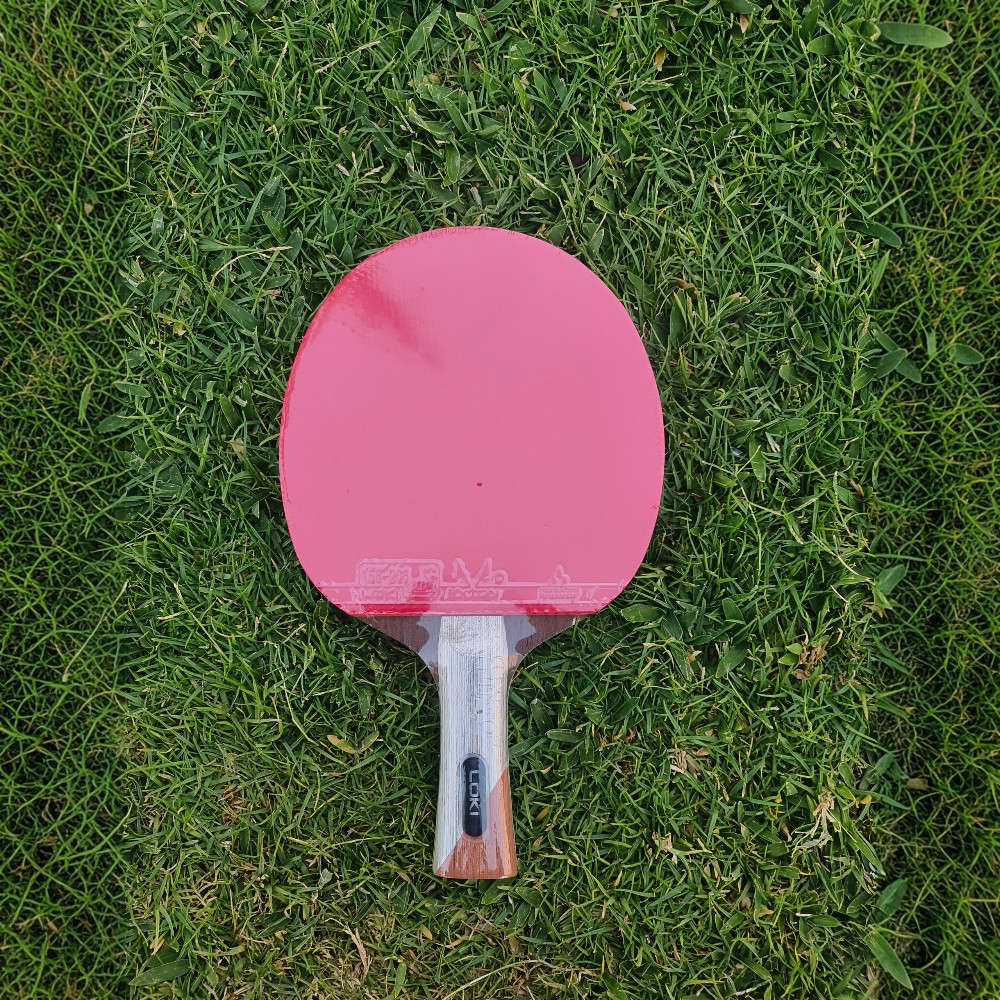 5-Star Professional Table Tennis Racket