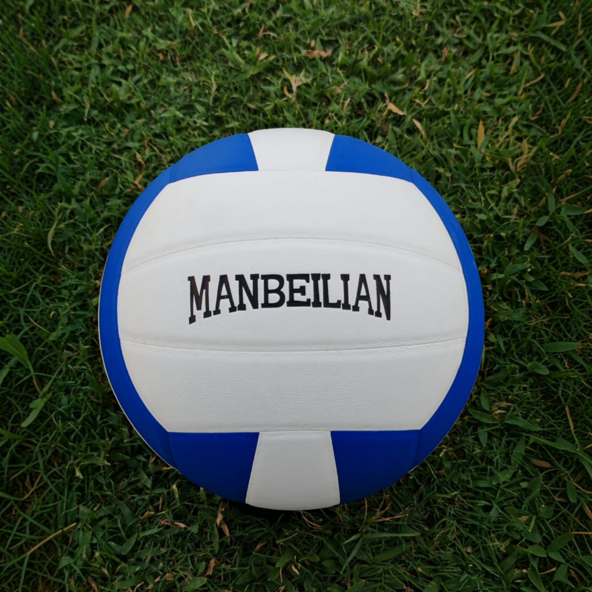 PROFESSIONAL MATCH FOOTBALL