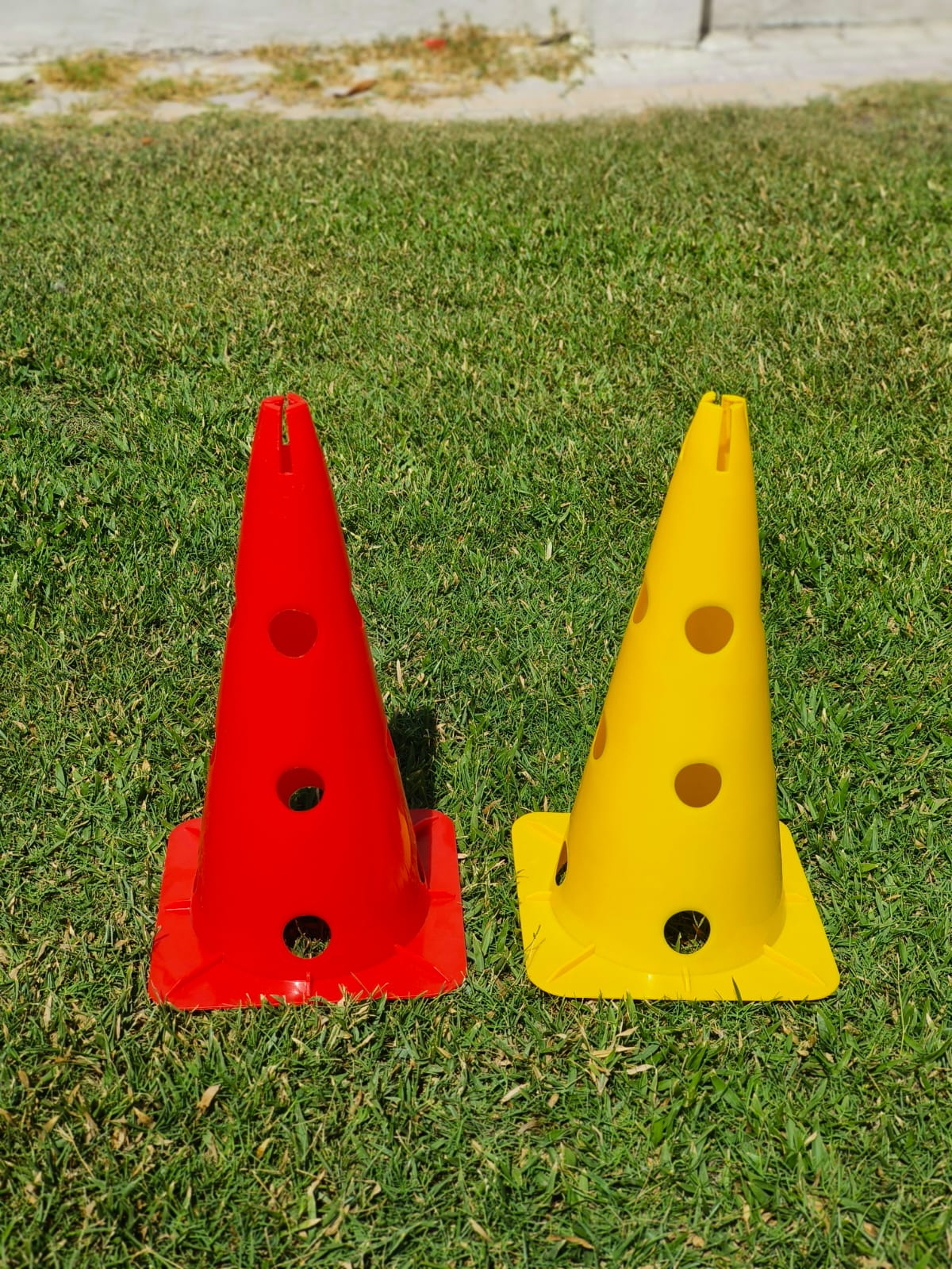 Agility Training Ladder