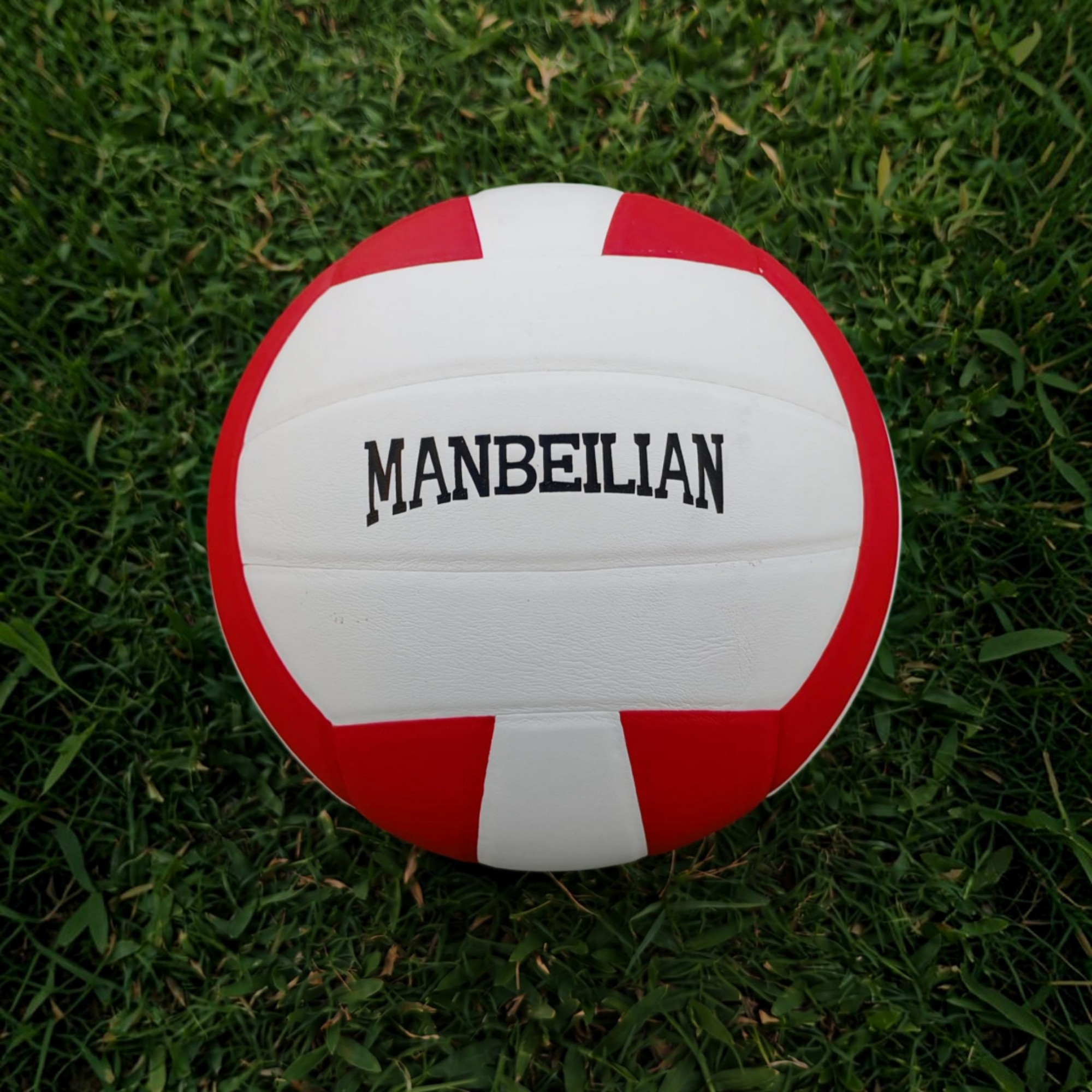 PROFESSIONAL MATCH FOOTBALL