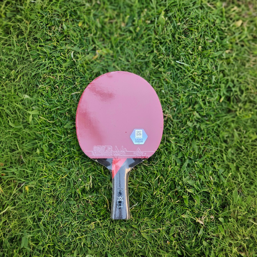 8-Star Professional Table Tennis Racket